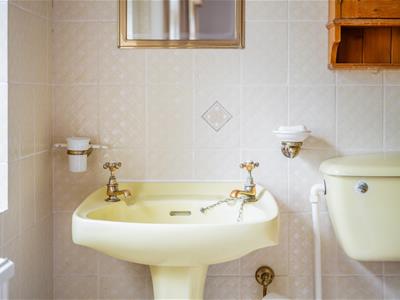 Picture 16